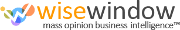 WiseWindow logo